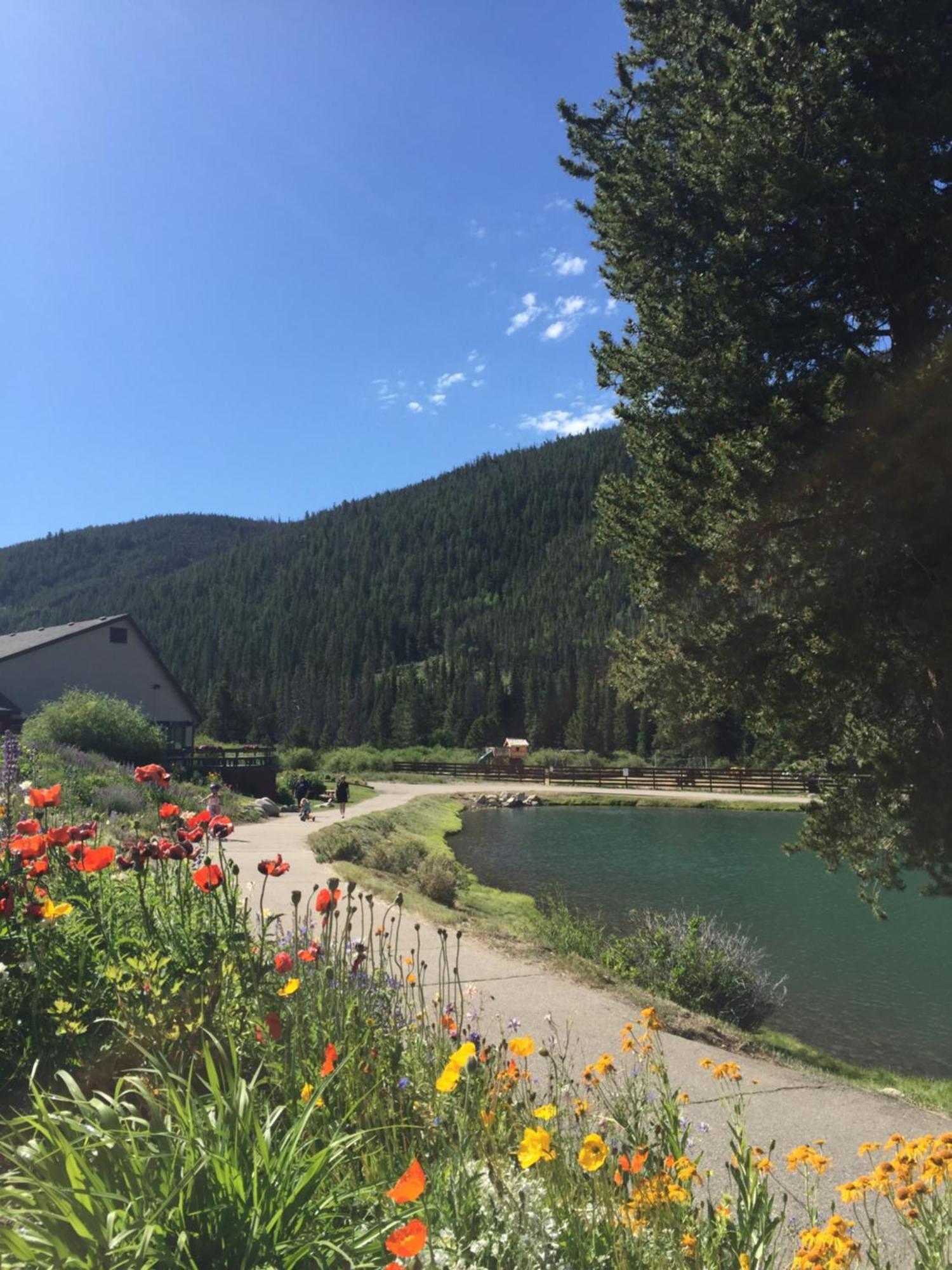 Argentine 1504 By Summitcove Lodging Keystone Exteriör bild